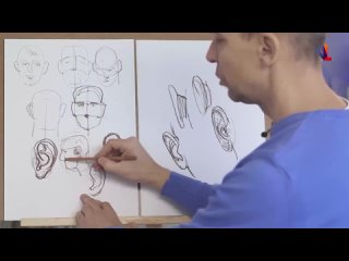 alexander ryzhkin. how to draw an ear usually and how to draw correctly.